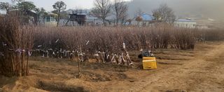 이영철님의 사과 · 일상 작성글 사진