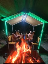 팜모닝 자유주제·사진전 게시글 이미지