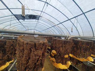 무열왕님의 자유주제 · 사진전 작성글 사진