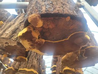 무열왕님의 자유주제 · 사진전 작성글 사진