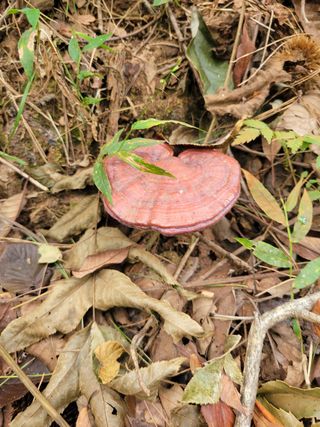 무열왕님의 자유주제 · 사진전 작성글 사진