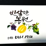 팜모닝 자유주제·사진전 게시글 이미지