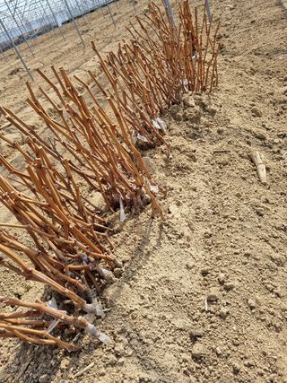 석나원님의 자유주제 · 사진전 작성글 사진