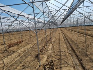 석나원님의 자유주제 · 사진전 작성글 사진