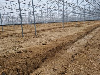 석나원님의 자유주제 · 사진전 작성글 사진