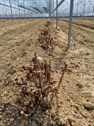 석나원님의 자유주제 · 사진전 작성글 사진
