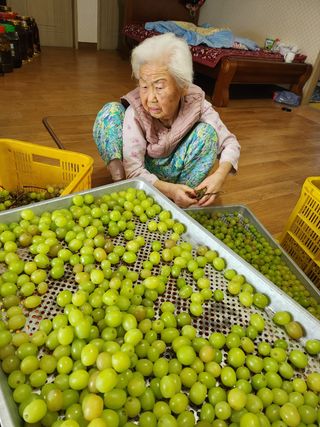 백화산지킴이산야초님의 자유주제 · 사진전 작성글 사진
