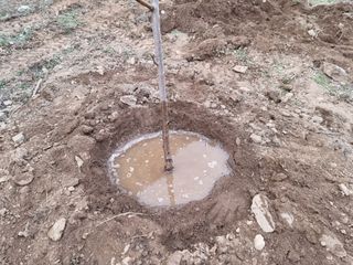 고봉농원 김경수님의 복숭아 · 자유게시판 작성글 사진