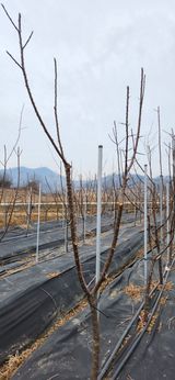 팜모닝 자유주제·사진전 게시글 이미지