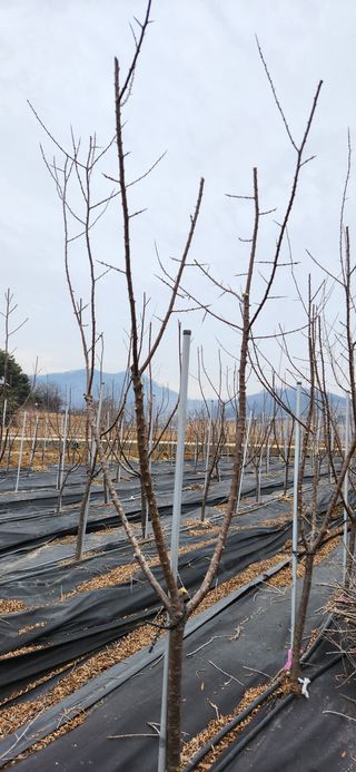 혜산님의 자유주제 · 사진전 작성글 사진