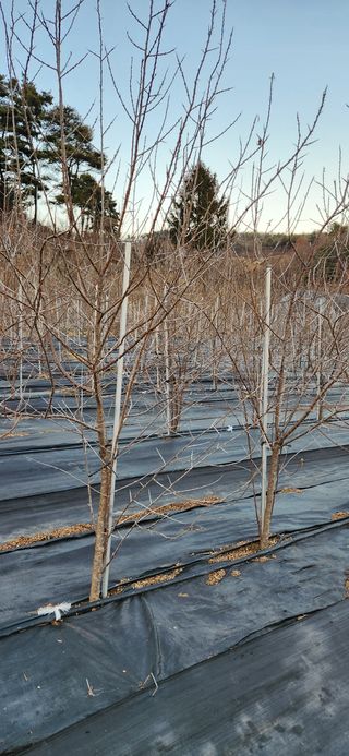 혜산님의 자유주제 · 사진전 작성글 사진