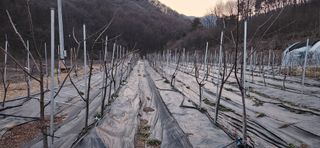 혜산님의 자유주제 · 사진전 작성글 사진