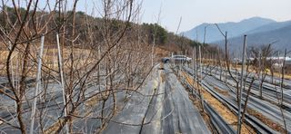 혜산님의 자유주제 · 사진전 작성글 사진