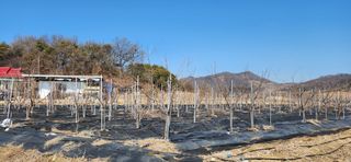 혜산님의 자유주제 · 사진전 작성글 사진