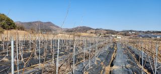 혜산님의 자유주제 · 사진전 작성글 사진