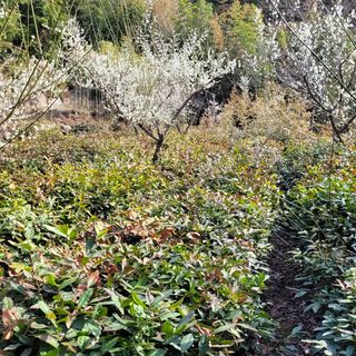 김은성님의 자유주제 · 사진전 작성글 사진