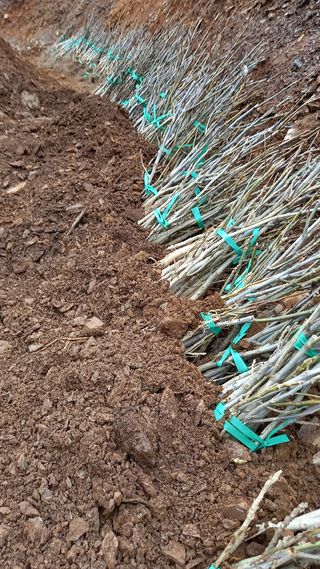 까두까두 님의 기타작물 · 자유게시판 작성글 사진