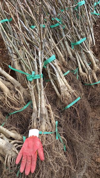 까두까두 님의 기타작물 · 자유게시판 작성글 사진