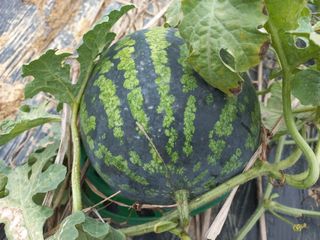 권대경님의 자유주제 · 사진전 작성글 사진