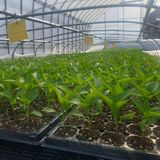 팜모닝 자유주제·사진전 게시글 이미지