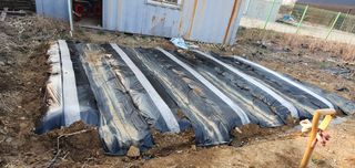 피알농부님의 자유주제 · 사진전 작성글 사진