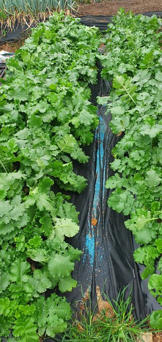 피알농부님의 자유주제 · 사진전 작성글 사진