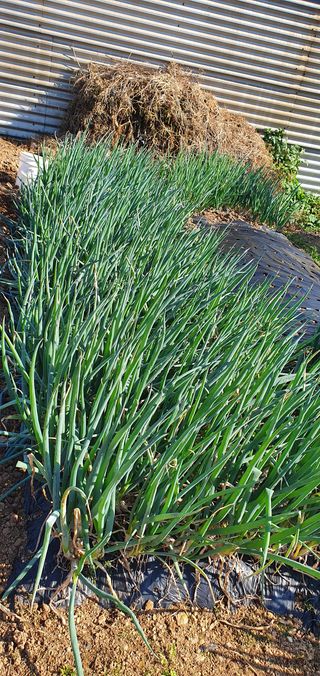 피알농부님의 자유주제 · 사진전 작성글 사진