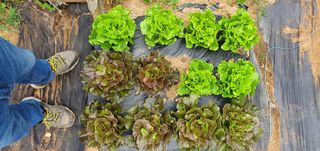 피알농부님의 자유주제 · 사진전 작성글 사진