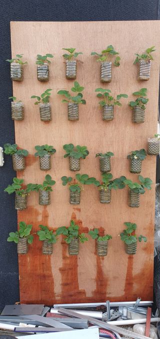 피알농부님의 자유주제 · 사진전 작성글 사진