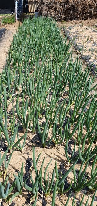 피알농부님의 자유주제 · 사진전 작성글 사진