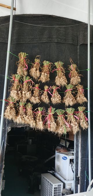 피알농부님의 자유주제 · 사진전 작성글 사진