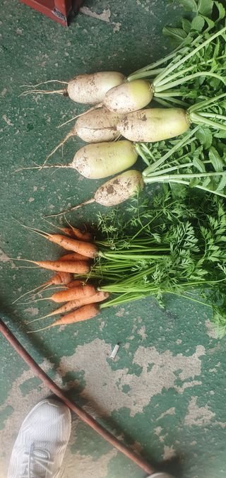 피알농부님의 자유주제 · 사진전 작성글 사진