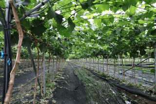 도기백님의 자유주제 · 자유게시판 작성글 사진