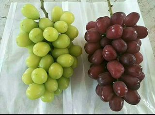 도기백님의 자유주제 · 자유게시판 작성글 사진