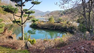 도기백님의 자유주제 · 자유게시판 작성글 사진