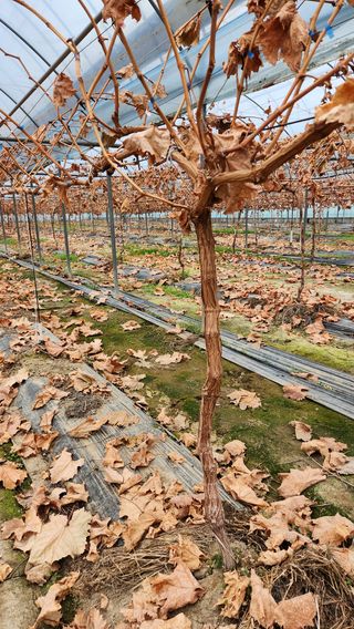 도기백님의 자유주제 · 자유게시판 작성글 사진