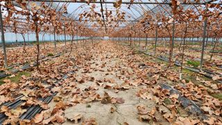 도기백님의 자유주제 · 자유게시판 작성글 사진