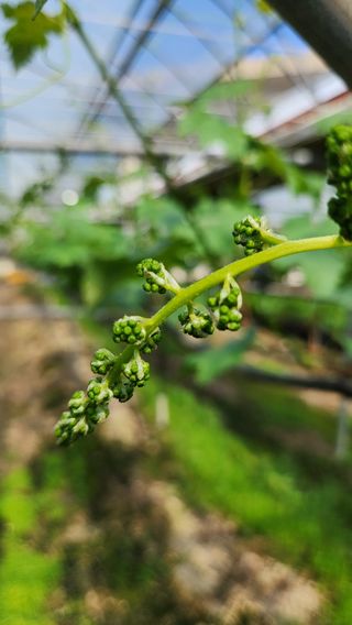도기백님의 자유주제 · 자유게시판 작성글 사진
