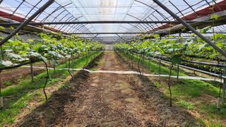 도기백님의 자유주제 · 자유게시판 작성글 사진