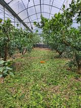 팜모닝 자유주제·사진전 게시글 이미지