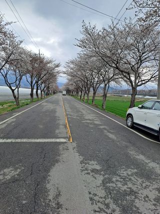 박종대님의 감자 · 자유게시판 작성글 사진