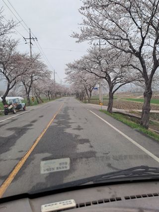 박종대님의 감자 · 자유게시판 작성글 사진