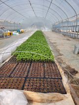 팜모닝 자유주제·자유게시판 게시글 이미지