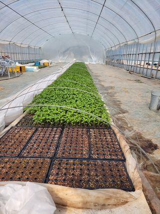 고추총각님의 자유주제 · 자유게시판 작성글 사진