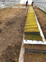 팜모닝 자유주제·사진전 게시글 이미지