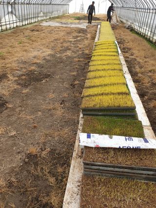 이광미님의 자유주제 · 사진전 작성글 사진