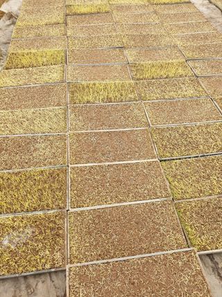 이광미님의 자유주제 · 사진전 작성글 사진