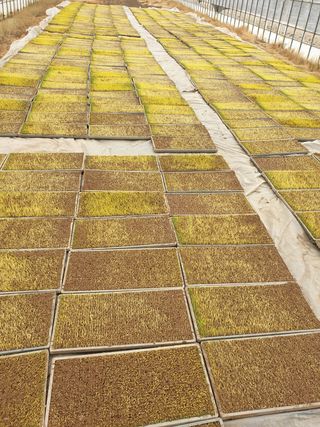 이광미님의 자유주제 · 사진전 작성글 사진