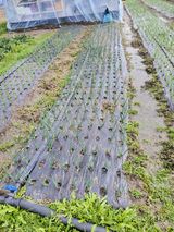 팜모닝 자유주제·자유게시판 게시글 이미지