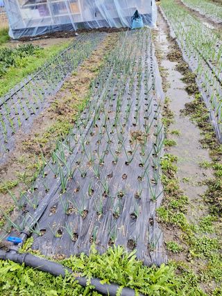 우영옥님의 자유주제 · 자유게시판 작성글 사진